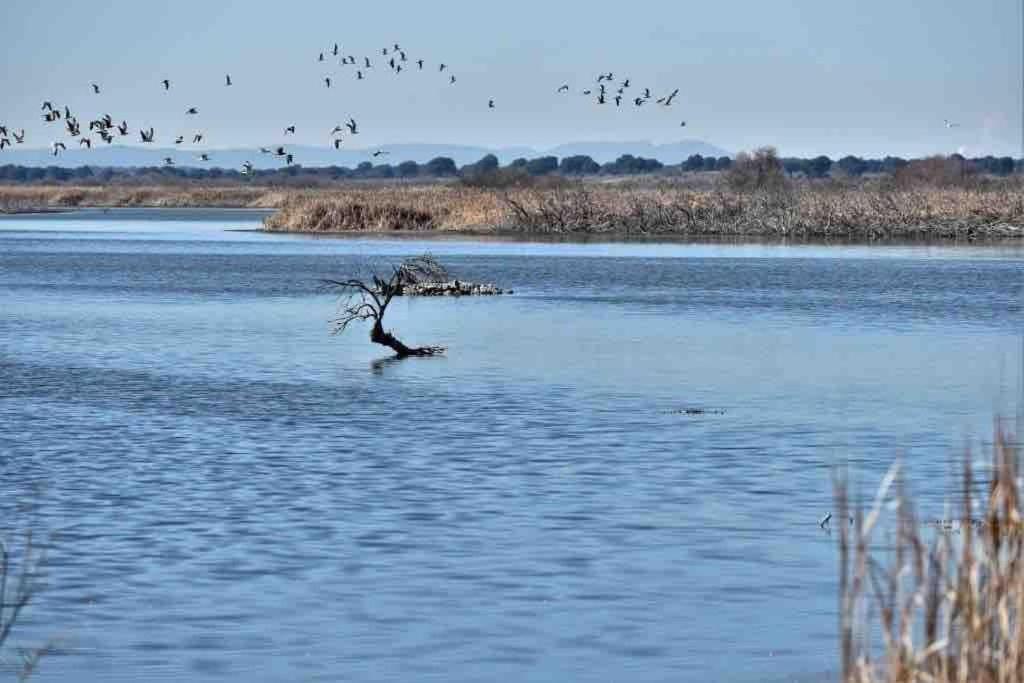 Apto. Singular En La Mancha Banco De Inversiones Argamasilla De Alba Екстер'єр фото