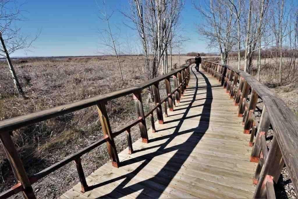 Apto. Singular En La Mancha Banco De Inversiones Argamasilla De Alba Екстер'єр фото